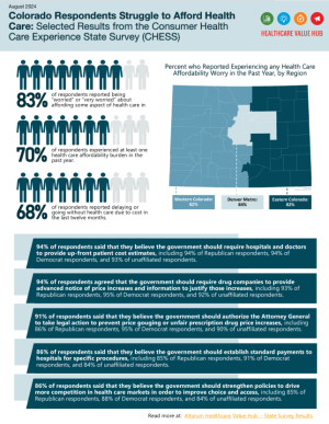 2024 Survey Infographic