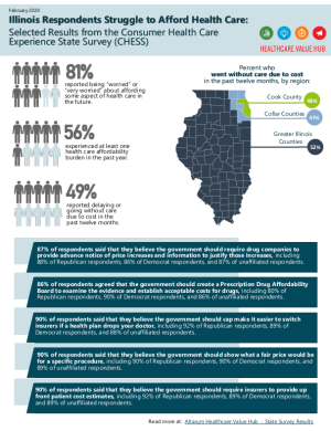 2022 Illinois Consumer Health Experience State Survey Infographic