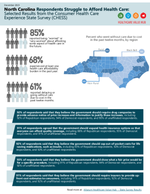 2023 North Carolina Survey Infographic