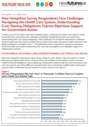 New Hampshire Health System Literacy Brief 2024
